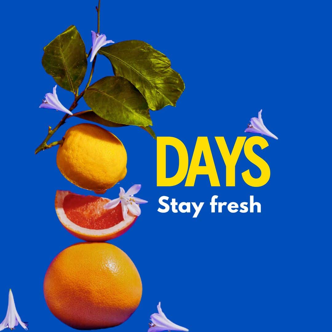 Αρωματικοί Πάτοι Fresh Oh Happy Days Blue