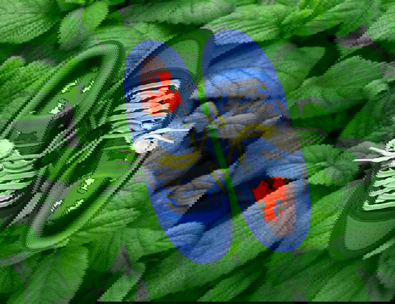 “Σεζόν” Εssentials : Κάλτσες Τεχνολογίας Συμπίεσης + Αρωματικοί Πάτοι Days fresh